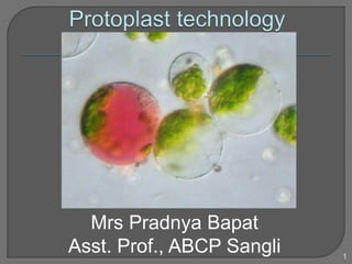 Mrs Pradnya Bapat
Asst. Prof., ABCP Sangli 1
 