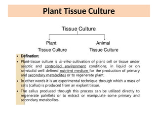 Plant tissue culture - Introduction and Types | PPTX