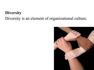 Diversity
Diversity is an element of organizational culture.
 
