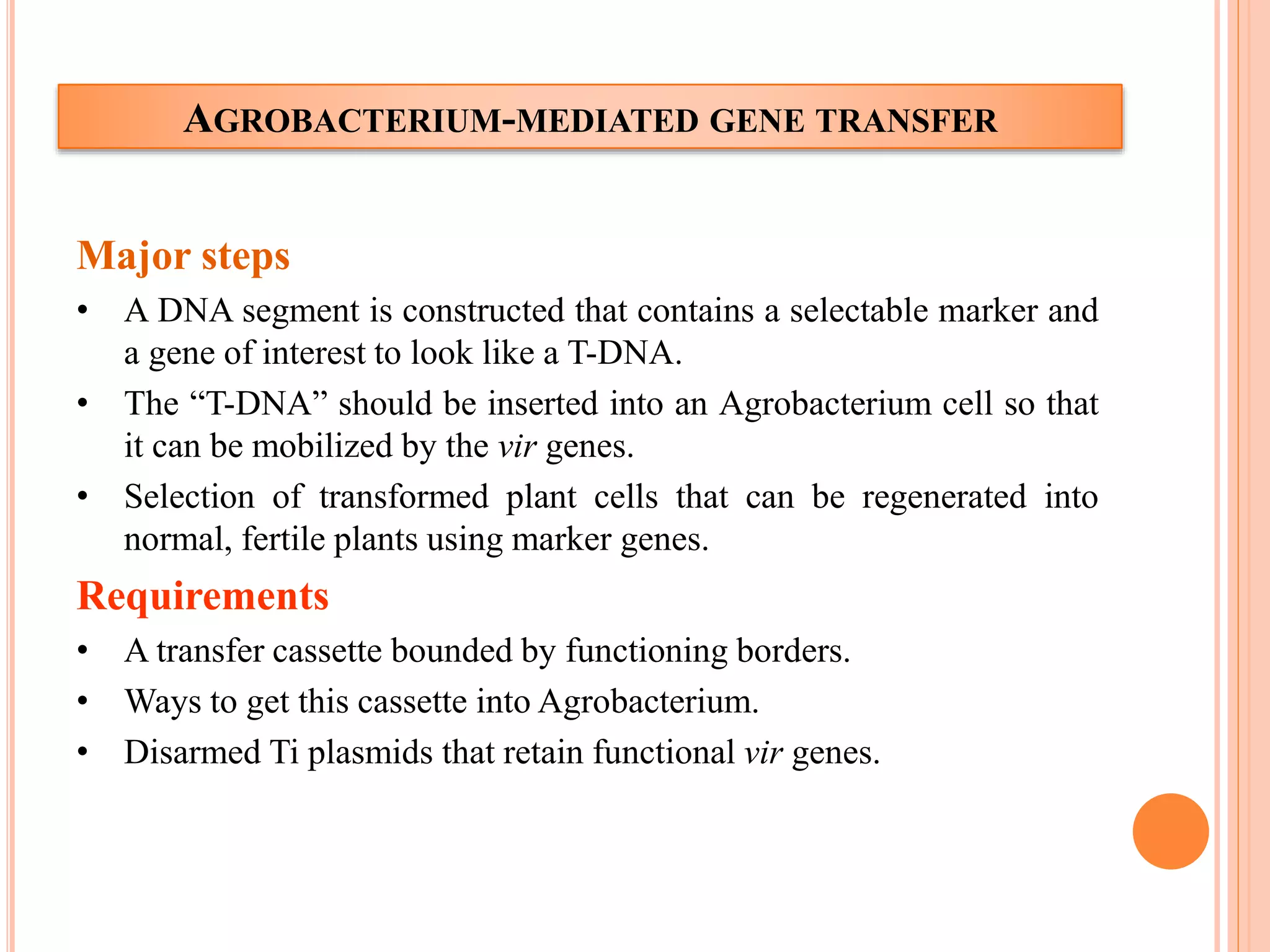 AGROBACTERIUM-MEDIATED GENE TRANSFER
Major steps
• A DNA segment is constructed that contains a selectable marker and
a gene of interest to look like a T-DNA.
• The “T-DNA” should be inserted into an Agrobacterium cell so that
it can be mobilized by the vir genes.
• Selection of transformed plant cells that can be regenerated into
normal, fertile plants using marker genes.
Requirements
• A transfer cassette bounded by functioning borders.
• Ways to get this cassette into Agrobacterium.
• Disarmed Ti plasmids that retain functional vir genes.
 