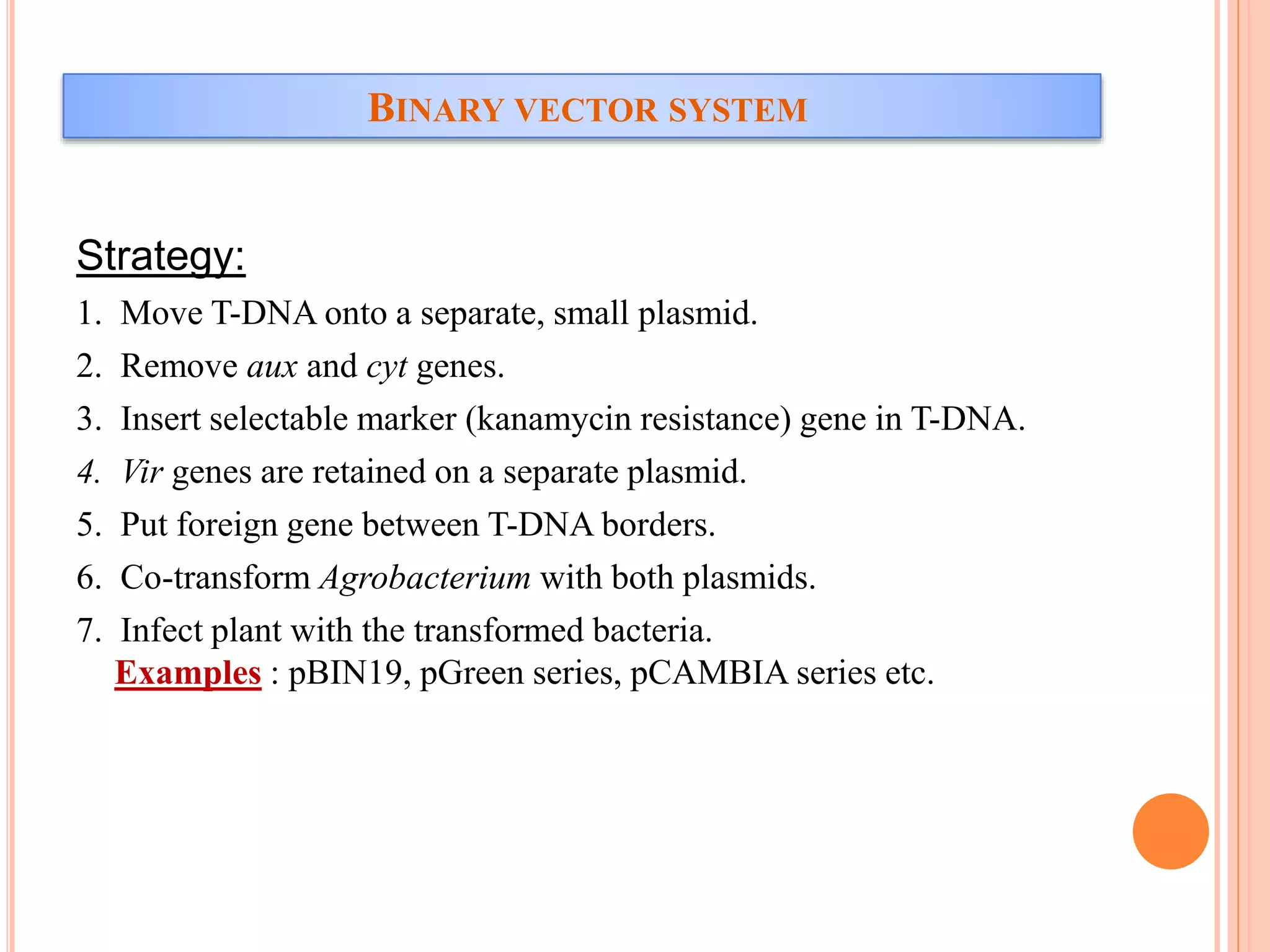 BINARY VECTOR SYSTEM
Strategy:
1. Move T-DNA onto a separate, small plasmid.
2. Remove aux and cyt genes.
3. Insert selectable marker (kanamycin resistance) gene in T-DNA.
4. Vir genes are retained on a separate plasmid.
5. Put foreign gene between T-DNA borders.
6. Co-transform Agrobacterium with both plasmids.
7. Infect plant with the transformed bacteria.
Examples : pBIN19, pGreen series, pCAMBIA series etc.
 