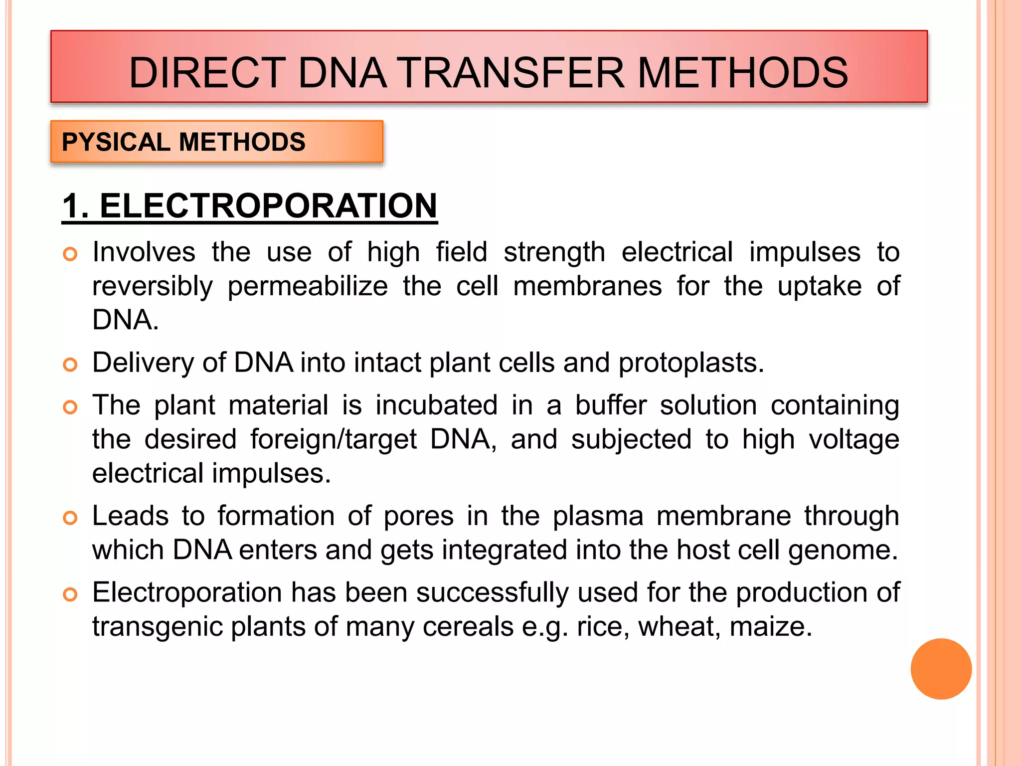 DIRECT DNA TRANSFER METHODS
1. ELECTROPORATION
 Involves the use of high field strength electrical impulses to
reversibly permeabilize the cell membranes for the uptake of
DNA.
 Delivery of DNA into intact plant cells and protoplasts.
 The plant material is incubated in a buffer solution containing
the desired foreign/target DNA, and subjected to high voltage
electrical impulses.
 Leads to formation of pores in the plasma membrane through
which DNA enters and gets integrated into the host cell genome.
 Electroporation has been successfully used for the production of
transgenic plants of many cereals e.g. rice, wheat, maize.
PYSICAL METHODS
 