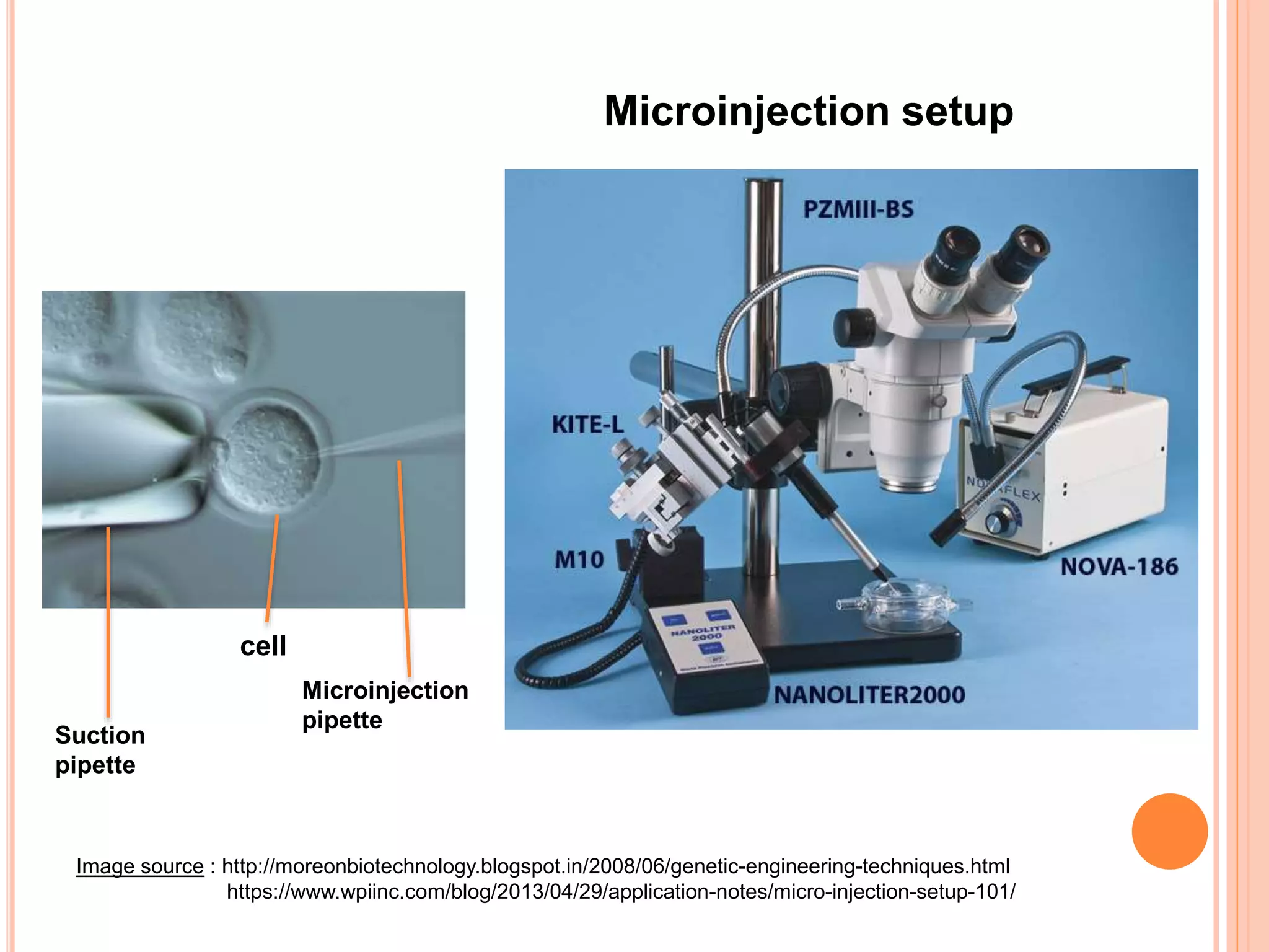 Image source : http://moreonbiotechnology.blogspot.in/2008/06/genetic-engineering-techniques.html
https://www.wpiinc.com/blog/2013/04/29/application-notes/micro-injection-setup-101/
Suction
pipette
cell
Microinjection
pipette
Microinjection setup
 