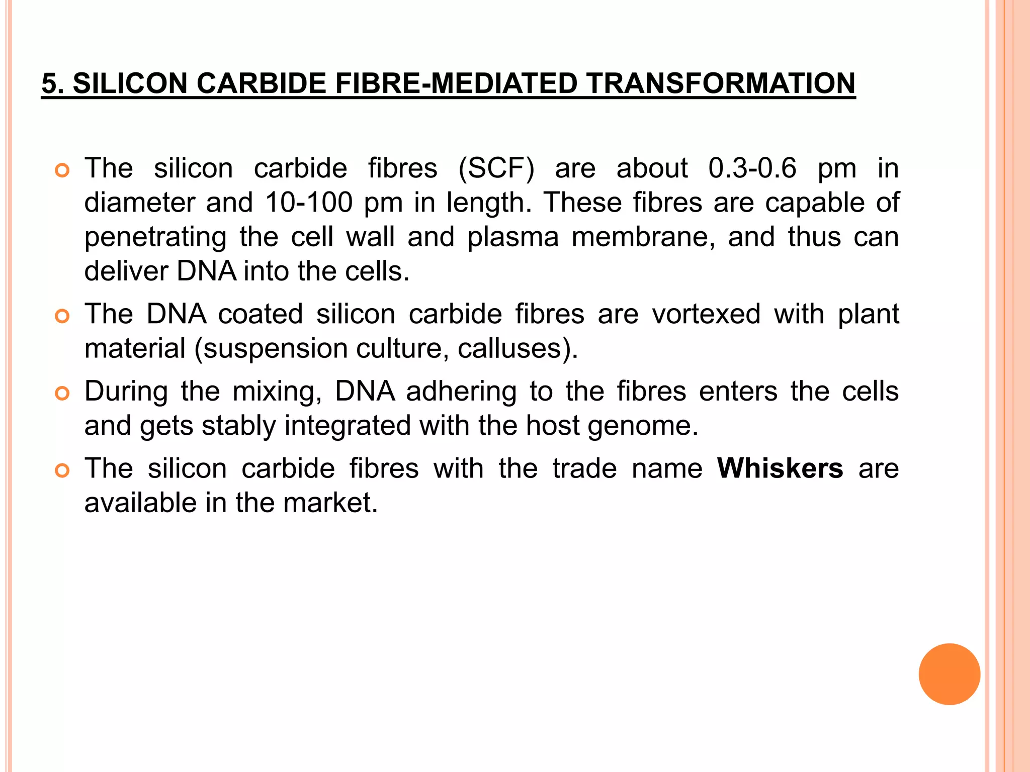  The silicon carbide fibres (SCF) are about 0.3-0.6 pm in
diameter and 10-100 pm in length. These fibres are capable of
penetrating the cell wall and plasma membrane, and thus can
deliver DNA into the cells.
 The DNA coated silicon carbide fibres are vortexed with plant
material (suspension culture, calluses).
 During the mixing, DNA adhering to the fibres enters the cells
and gets stably integrated with the host genome.
 The silicon carbide fibres with the trade name Whiskers are
available in the market.
5. SILICON CARBIDE FIBRE-MEDIATED TRANSFORMATION
 