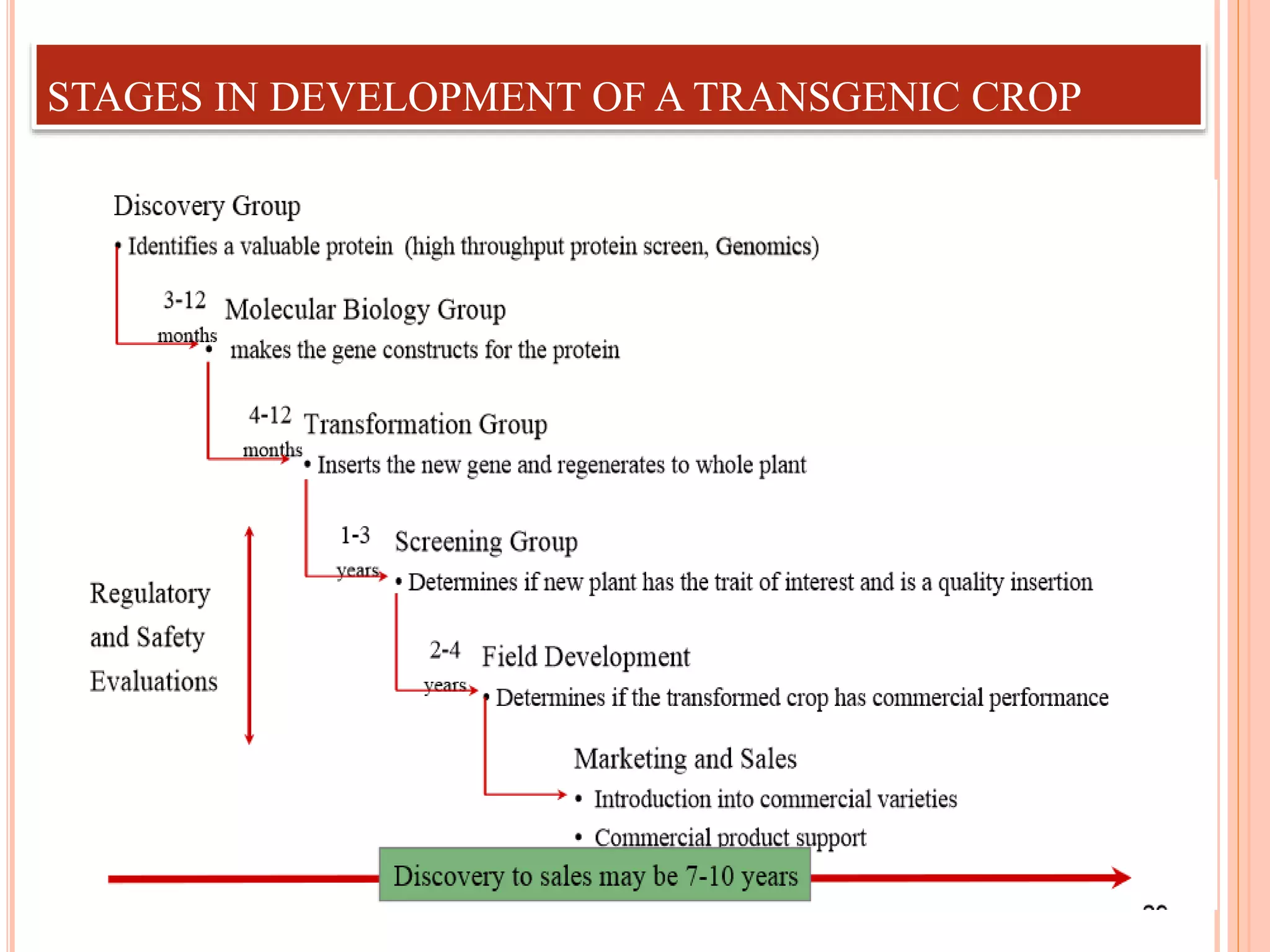 STAGES IN DEVELOPMENT OF A TRANSGENIC CROP
 