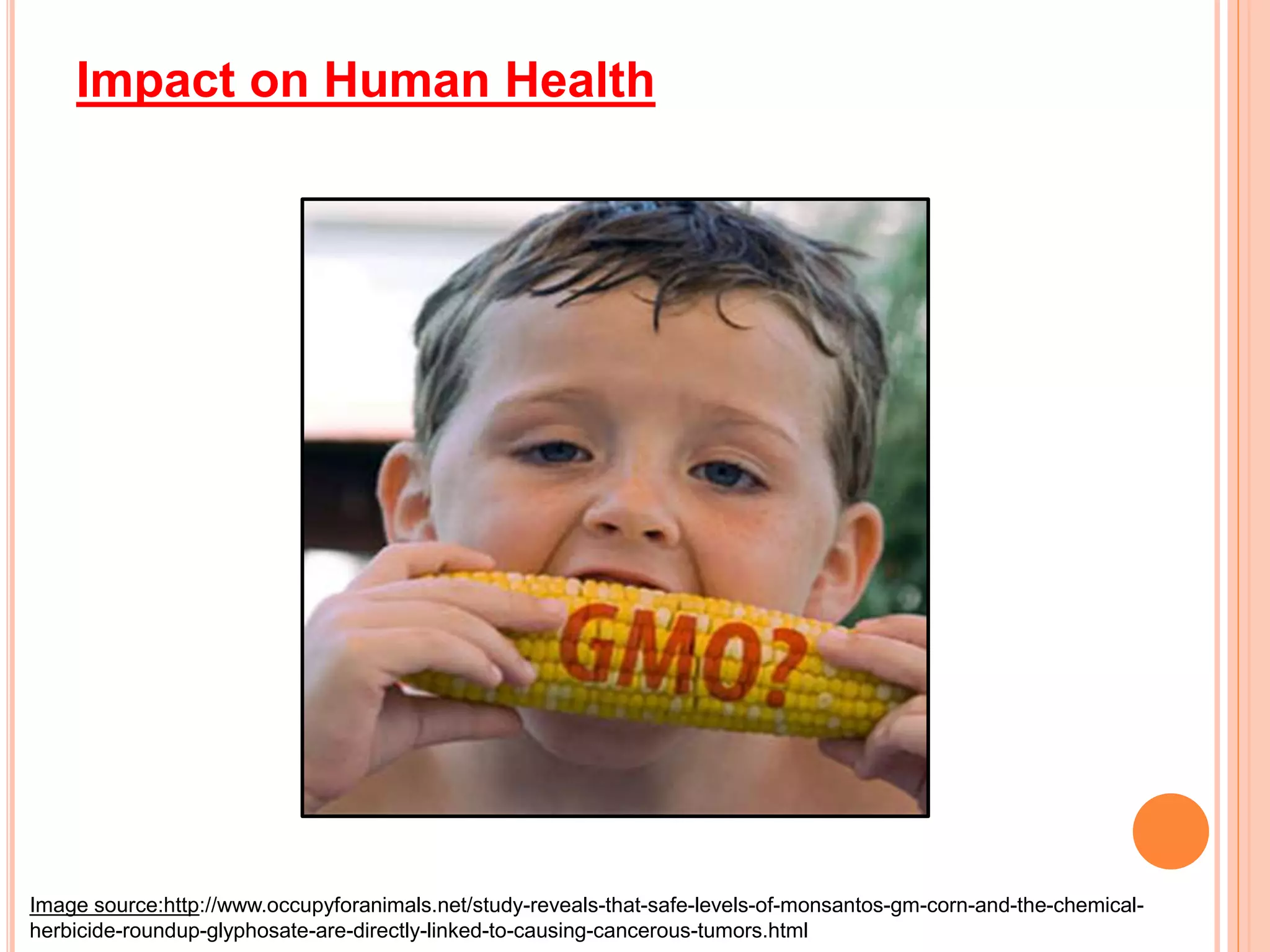 Impact on Human Health
Image source:http://www.occupyforanimals.net/study-reveals-that-safe-levels-of-monsantos-gm-corn-and-the-chemical-
herbicide-roundup-glyphosate-are-directly-linked-to-causing-cancerous-tumors.html
 
