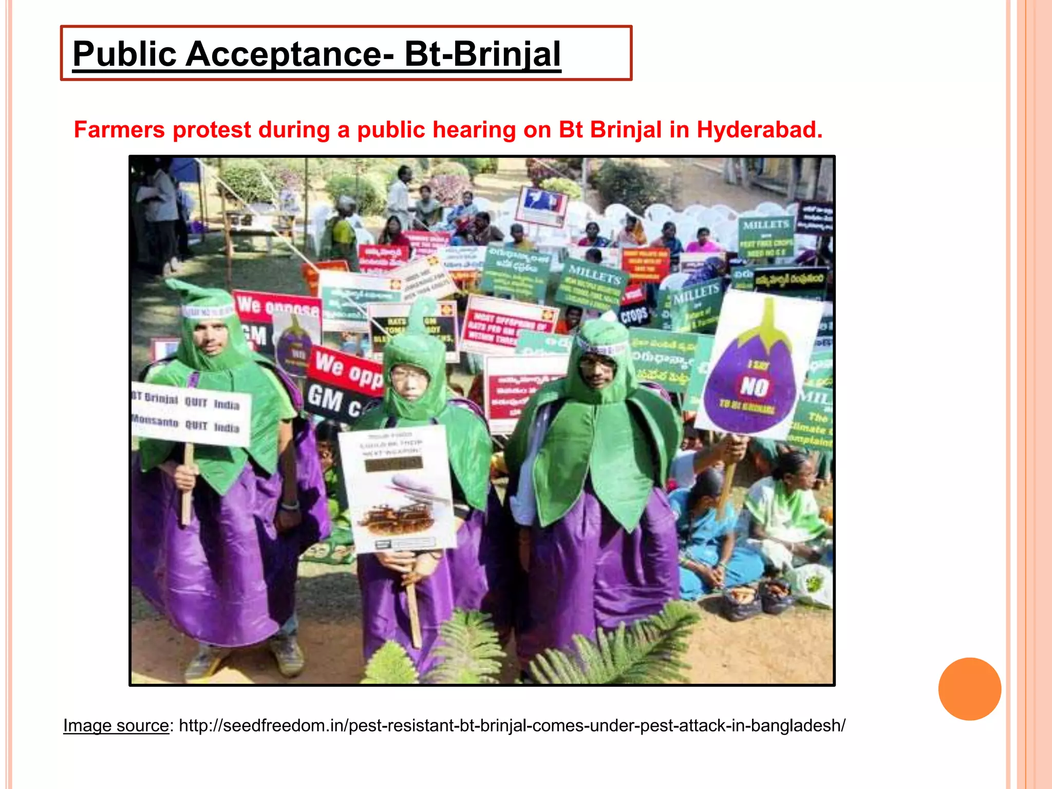 Image source: http://seedfreedom.in/pest-resistant-bt-brinjal-comes-under-pest-attack-in-bangladesh/
Public Acceptance- Bt-Brinjal
Farmers protest during a public hearing on Bt Brinjal in Hyderabad.
 