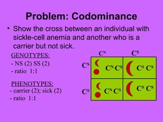 Problem: Codominance
• Show the cross between an individual with
sickle-cell anemia and another who is a
carrier but not sick.
CN
CS
CS
CS
CN
CS
CN
CS
CS
CS
CS
CS
- NS (2) SS (2)
- ratio 1:1
- carrier (2); sick (2)
- ratio 1:1
GENOTYPES:
PHENOTYPES:
 