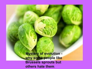 Mystery of evolution -
why some people like
Brussels sprouts but
others hate them.
 