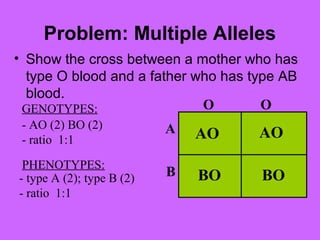 Problem: Multiple Alleles
• Show the cross between a mother who has
type O blood and a father who has type AB
blood.
- AO (2) BO (2)
- ratio 1:1
- type A (2); type B (2)
- ratio 1:1
GENOTYPES:
PHENOTYPES:
O O
A
B
AO
BO
AO
BO
 