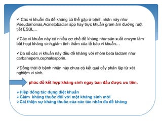  Các vi khuẩn đa đề kháng có thể gặp ở bệnh nhân này như
Pseudomonas,Acinetobacter spp hay trực khuẩn gram âm đường ruột
tiết ESBL…
Các vi khuẩn này có nhiều cơ chế đề kháng như:sản xuất enzym làm
bất hoạt kháng sinh,giảm tính thấm của tế bào vi khuẩn…
Đa số các vi khuẩn này đều đề kháng với nhóm beta lactam như
carbanepem,cephalosporin.
Đồng thời ở bệnh nhân này chưa có kết quả cấy phân lập từ xét
nghiệm vi sinh.
phác đồ kết hợp kháng sinh ngay ban đầu được ưu tiên.
Hiệp đồng tác dụng diệt khuẩn
Giảm kháng thuốc đối với một kháng sinh mới
Cải thiện sự kháng thuốc của các tác nhân đa đề kháng
 