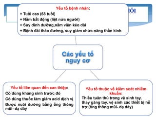 Yếu tố bệnh nhân:
+ Tuổi cao (68 tuổi)
+ Nằm bất động (liệt nửa người)
+ Suy dinh dưỡng,nằm viện kéo dài
+ Bệnh đái tháo đường, suy giảm chức năng thần kinh
Yếu tố thuộc về kiểm soát nhiễm
khuẩn:
Thiếu tuân thủ trong vệ sinh tay,
thay găng tay, vệ sinh các thiết bị hỗ
trợ (ống thông mũi- dạ dày)
Yếu tố liên quan đến can thiệp:
Có dùng kháng sinh trước đó
Có dùng thuốc làm giảm acid dịch vị
Được nuôi dưỡng bằng ống thông
mũi- dạ dày
 
