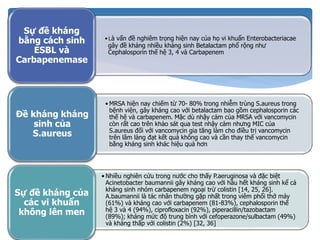 •Là vấn đề nghiêm trọng hiện nay của họ vi khuẩn Enterobacteriacae
gây đề kháng nhiều kháng sinh Betalactam phổ rộng như
Cephalosporin thế hệ 3, 4 và Carbapenem
Sự đề kháng
bằng cách sinh
ESBL và
Carbapenemase
• MRSA hiện nay chiếm từ 70- 80% trong nhiễm trùng S.aureus trong
bệnh viện, gây kháng cao với betalactam bao gồm cephalosporin các
thế hệ và carbapenem. Mặc dù nhậy cảm của MRSA với vancomycin
còn rất cao trên khảo sát qua test nhậy cảm nhưng MIC của
S.aureus đối với vancomycin gia tăng làm cho điều trị vancomycin
trên lâm làng đạt kết quả không cao và cần thay thế vancomycin
bằng kháng sinh khác hiệu quả hơn
Đề kháng kháng
sinh của
S.aureus
• Nhiều nghiên cứu trong nước cho thấy P.aeruginosa và đặc biệt
Acinetobacter baumannii gây kháng cao với hầu hết kháng sinh kể cả
kháng sinh nhóm carbapenem ngoại trừ colistin [14, 25, 26].
A.baumannii là tác nhân thường gặp nhất trong viêm phổi thở máy
(61%) và kháng cao với carbapenem (81-83%), cephalosporin thế
hệ 3 và 4 (94%), ciprofloxacin (92%), piperacillin/tazobactam
(89%); kháng mức độ trung bình với cefoperazone/sulbactam (49%)
và kháng thấp với colistin (2%) [32, 36]
Sự đề kháng của
các vi khuẩn
không lên men
 