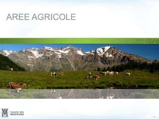 AREE AGRICOLE
47
 