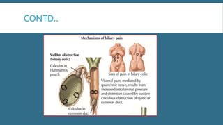 Ptc )percutaneous transhepatic cholangiography | PPTX | Digestive ...