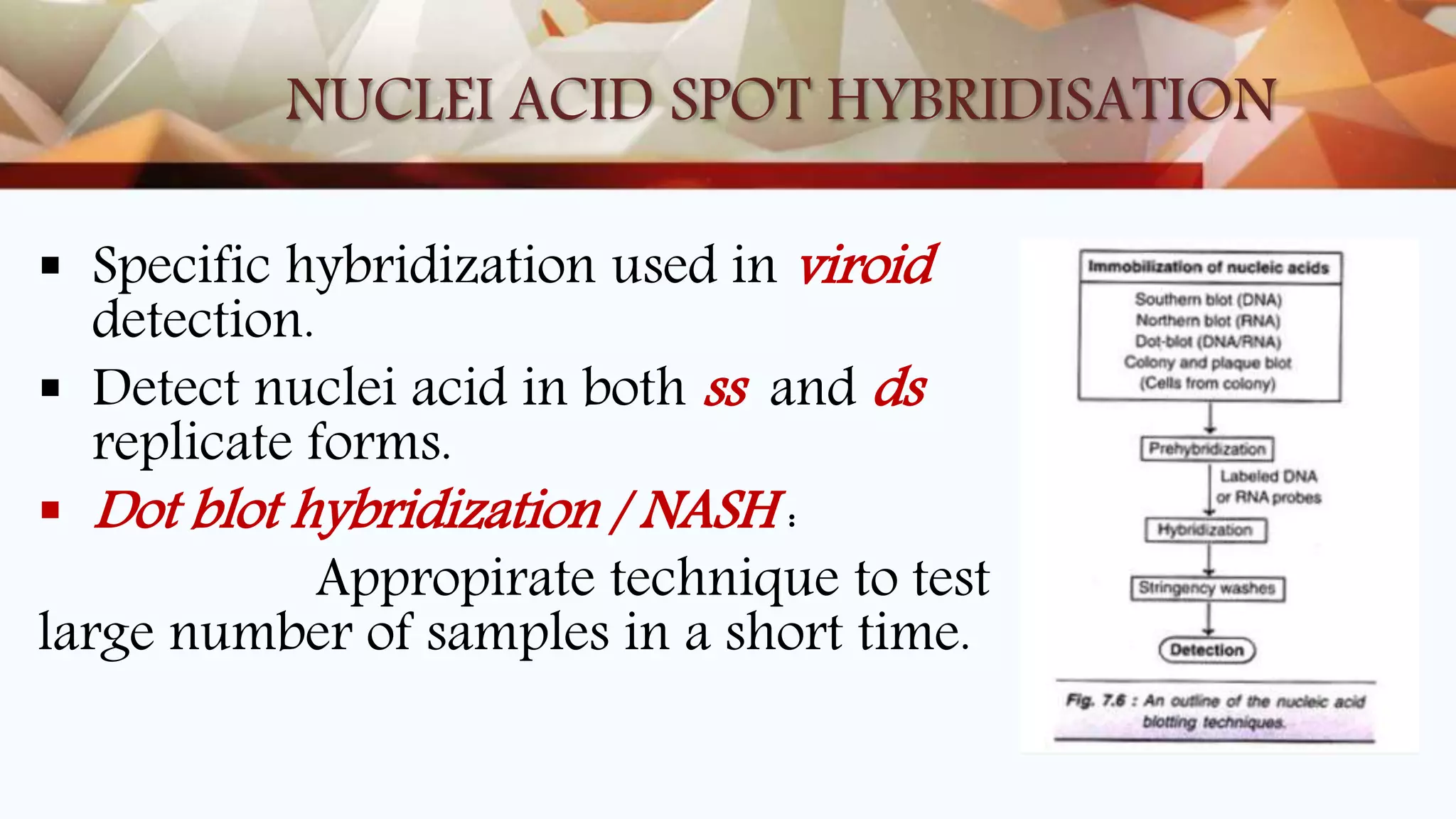 NUCLEI ACID SPOT HYBRIDISATION
 Specific hybridization used in viroid
detection.
 Detect nuclei acid in both ss and ds
replicate forms.
 Dot blot hybridization / NASH :
Appropirate technique to test
large number of samples in a short time.
 