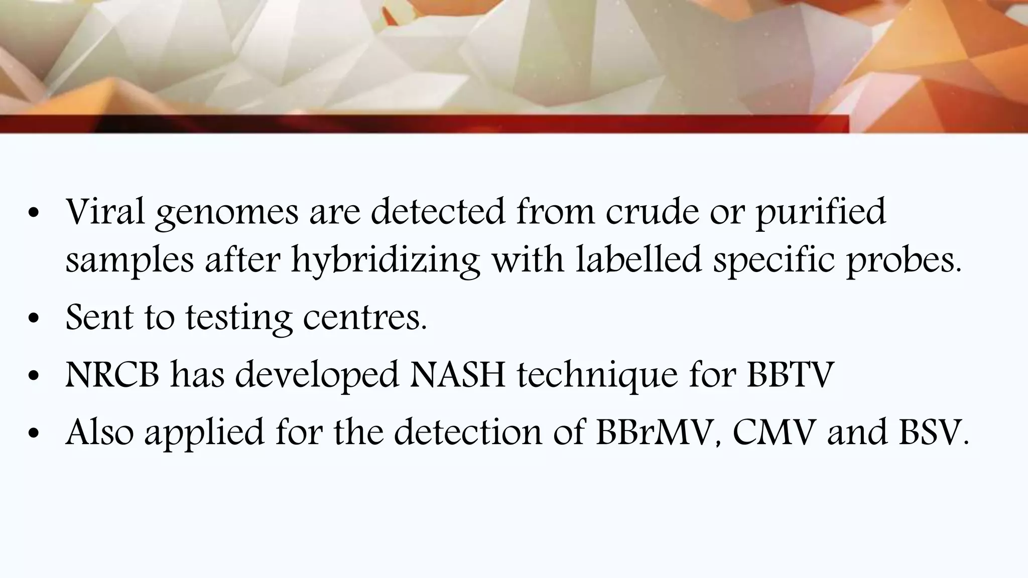 • Viral genomes are detected from crude or purified
samples after hybridizing with labelled specific probes.
• Sent to testing centres.
• NRCB has developed NASH technique for BBTV
• Also applied for the detection of BBrMV, CMV and BSV.
 