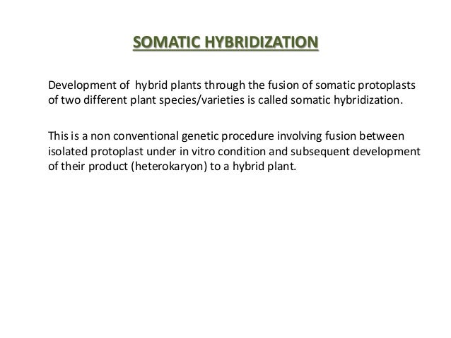 somatic hybridization ppt Somatic hybridization.