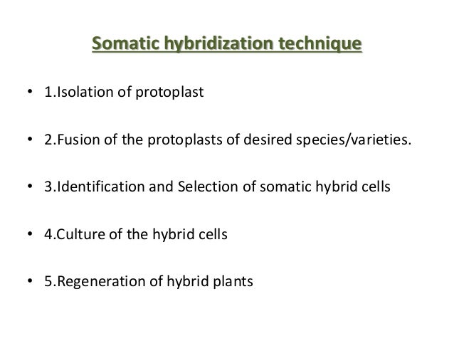 somatic hybridization ppt Somatic hybridization ppt video online download.