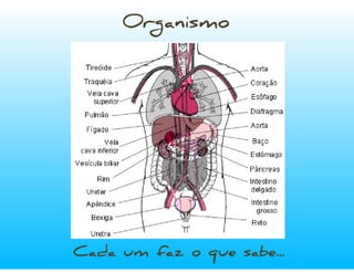 ZenTalk sobre Redes Sociais