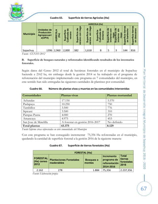67
Superficie de tierras Agrícolas (Ha)
Cuadro 65.
Municipio
Unidades de
Producción
Agropecuari
a(UPA)
AGRICOLA (Ha)
AGRICOLA
(Ha)
Superficie
Cultivada
de
verano
Superficie
de
verano
con
riego
Superficie
de
verano
sin
riego
Superficie
Cultivada
de
invierno
Superficie
de
invierno
con
riego
Superficie
de
invierno
sin
riego
Superficie
tierras
en
barbecho
Superficie
tierras
en
descanso
Sopachuy 1396 2,960 2,000 382 1,618 8 5 3 144 816
Fuente CENSO 2012
B. Superficie de bosques naturales y reforestados identificando resultados de los inventarios
forestales.
Según datos del Censo 2012 el total de hectáreas forestales en el municipio de Sopachuy
haciende a 2162 ha, sin embargo desde la gestión 2014 se ha trabajado en el programa de
reforestación del municipio implementado este programa en 7 comunidades del municipio, en
este sentido han sido entregadas las siguientes cantidades de plantines por comunidad.
Número de plantas vivas y muertas en las comunidades intervenidas
Cuadro 66.
Comunidades Plantas vivas Plantas mortandad
Achatalas 17.150 5.570
Paslapaya 10.250 750
Tambillos 3.500 776
Sipicani 3.500 310
Pampas Punta 4.000 270
Amancaya 4.975 453
San Jose de Matelilla A forestar en gestión 2016-2017 No definido
Total plantas 43.375 8.129
Fuente Informe áreas reforestadas en siete comunidades del Municipio
Con este programa se han conseguido incrementar 75,356 Ha reforestadas en el municipio,
quedando la cantidad de superficie forestal a la gestión 2016 de la siguiente manera:
Superficie de tierras forestales (Ha)
Cuadro 67.
FORESTAL (Ha)
FORESTAL
(Ha) censo
2012
Plantaciones Forestales
maderables
Bosques o
montes
Incremento
programa de
reforestación
2014-2016
Total
tierras
forestales
2016
2.162 278 1.884 75,356 2.237,356
Fuente Elaboración propia
 