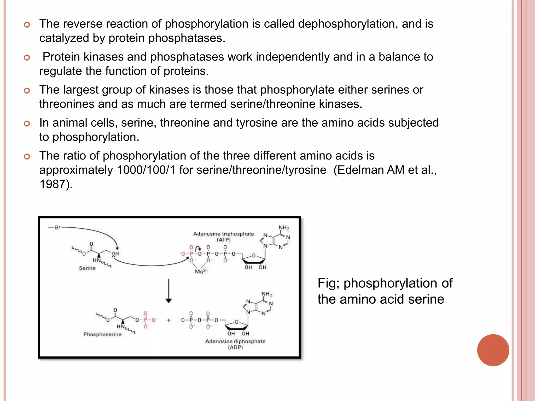 Post translational modifications | PPTX