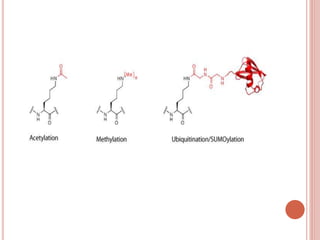 Post translational modifications | PPTX
