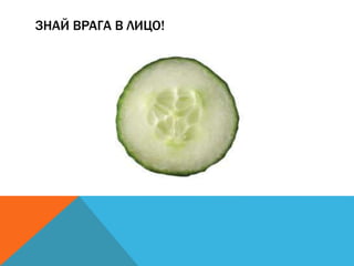 ЗНАЙ ВРАГА В ЛИЦО! 
 