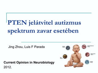 PTEN jelátvitel autizmus
spektrum zavar esetében
Current Opinion in Neurobiology
2012.
Jing Zhou, Luis F Parada
 