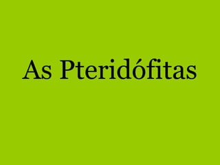 As Pteridófitas 