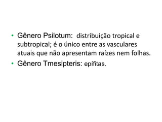 • Gênero Psilotum: distribuição tropical e
subtropical; é o único entre as vasculares
atuais que não apresentam raízes nem folhas.
• Gênero Tmesipteris: epífitas.
 