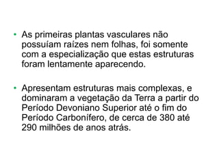 • As primeiras plantas vasculares não
possuíam raízes nem folhas, foi somente
com a especialização que estas estruturas
foram lentamente aparecendo.
• Apresentam estruturas mais complexas, e
dominaram a vegetação da Terra a partir do
Período Devoniano Superior até o fim do
Período Carbonífero, de cerca de 380 até
290 milhões de anos atrás.
 