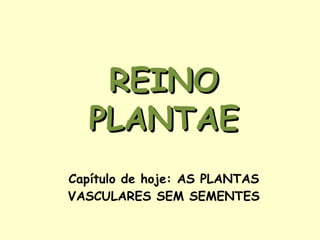 Capítulo de hoje: AS PLANTAS VASCULARES SEM SEMENTES REINO PLANTAE 