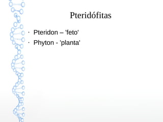 Pteridófitas
●

Pteridon – 'feto'

●

Phyton - 'planta'

 