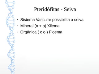 Pteridófitas - Seiva
●

Sistema Vascular possibilita a seiva

●

Mineral (n + a) Xilema

●

Orgânica ( c o ) Floema

 