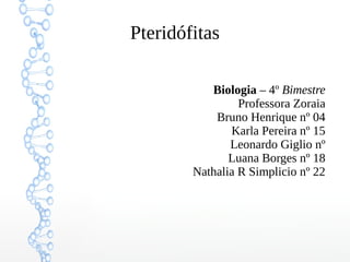 Pteridófitas
Biologia – 4º Bimestre
Professora Zoraia
Bruno Henrique nº 04
Karla Pereira nº 15
Leonardo Giglio nº
Luana Borges nº 18
Nathalia R Simplicio nº 22

 