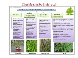 Classification by Smith et.al
 