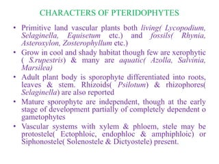 CHARACTERS OF PTERIDOPHYTES
• Primitive land vascular plants both living( Lycopodium,
Selaginella, Equisetum etc.) and fossils( Rhynia,
Asteroxylon, Zosterophyllum etc.)
• Grow in cool and shady habitat though few are xerophytic
( S.rupestris) & many are aquatic( Azolla, Salvinia,
Marsilea)
• Adult plant body is sporophyte differentiated into roots,
leaves & stem. Rhizoids( Psilotum) & rhizophores(
Selaginella) are also reported
• Mature sporophyte are independent, though at the early
stage of development partially of completely dependent o
gametophytes
• Vascular systems with xylem & phloem, stele may be
protostele( Ectophloic, endophloc & amphiphloic) or
Siphonostele( Solenostele & Dictyostele) present.
 