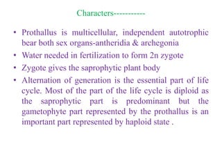 Characters-----------
• Prothallus is multicellular, independent autotrophic
bear both sex organs-antheridia & archegonia
• Water needed in fertilization to form 2n zygote
• Zygote gives the saprophytic plant body
• Alternation of generation is the essential part of life
cycle. Most of the part of the life cycle is diploid as
the saprophytic part is predominant but the
gametophyte part represented by the prothallus is an
important part represented by haploid state .
 