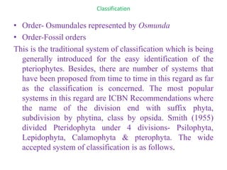 Classification
• Order- Osmundales represented by Osmunda
• Order-Fossil orders
This is the traditional system of classification which is being
generally introduced for the easy identification of the
pteriophytes. Besides, there are number of systems that
have been proposed from time to time in this regard as far
as the classification is concerned. The most popular
systems in this regard are ICBN Recommendations where
the name of the division end with suffix phyta,
subdivision by phytina, class by opsida. Smith (1955)
divided Pteridophyta under 4 divisions- Psilophyta,
Lepidophyta, Calamophyta & pterophyta. The wide
accepted system of classification is as follows.
 