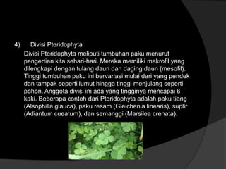 4) Divisi Pteridophyta 
Divisi Pteridophyta meliputi tumbuhan paku menurut 
pengertian kita sehari-hari. Mereka memiliki makrofil yang 
dilengkapi dengan tulang daun dan daging daun (mesofil). 
Tinggi tumbuhan paku ini bervariasi mulai dari yang pendek 
dan tampak seperti lumut hingga tinggi menjulang seperti 
pohon. Anggota divisi ini ada yang tingginya mencapai 6 
kaki. Beberapa contoh dari Pteridophyta adalah paku tiang 
(Alsophilla glauca), paku resam (Gleichenia linearis), suplir 
(Adiantum cueatum), dan semanggi (Marsilea crenata). 
 
