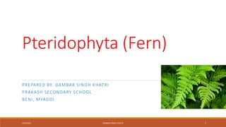 Pteridophyta (Fern)
PREPARED BY: DAMBAR SINGH KHATRI
PRAKASH SECONDARY SCHOOL
BENI, MYAGDI
5/19/2021 DAMBAR SINGH KHATRI 1
 