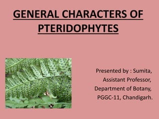 GENERAL CHARACTERS OF
PTERIDOPHYTES
Presented by : Sumita,
Assistant Professor,
Department of Botany,
PGGC-11, Chandigarh.
 