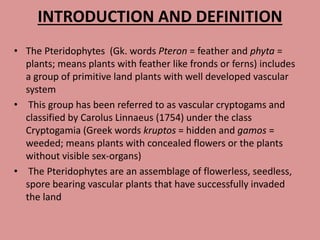 INTRODUCTION AND DEFINITION
• The Pteridophytes (Gk. words Pteron = feather and phyta =
plants; means plants with feather like fronds or ferns) includes
a group of primitive land plants with well developed vascular
system
• This group has been referred to as vascular cryptogams and
classified by Carolus Linnaeus (1754) under the class
Cryptogamia (Greek words kruptos = hidden and gamos =
weeded; means plants with concealed flowers or the plants
without visible sex-organs)
• The Pteridophytes are an assemblage of flowerless, seedless,
spore bearing vascular plants that have successfully invaded
the land
 