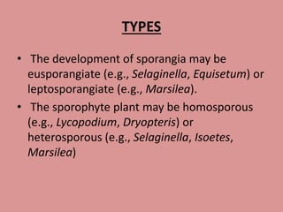 TYPES
• The development of sporangia may be
eusporangiate (e.g., Selaginella, Equisetum) or
leptosporangiate (e.g., Marsilea).
• The sporophyte plant may be homosporous
(e.g., Lycopodium, Dryopteris) or
heterosporous (e.g., Selaginella, Isoetes,
Marsilea)
 