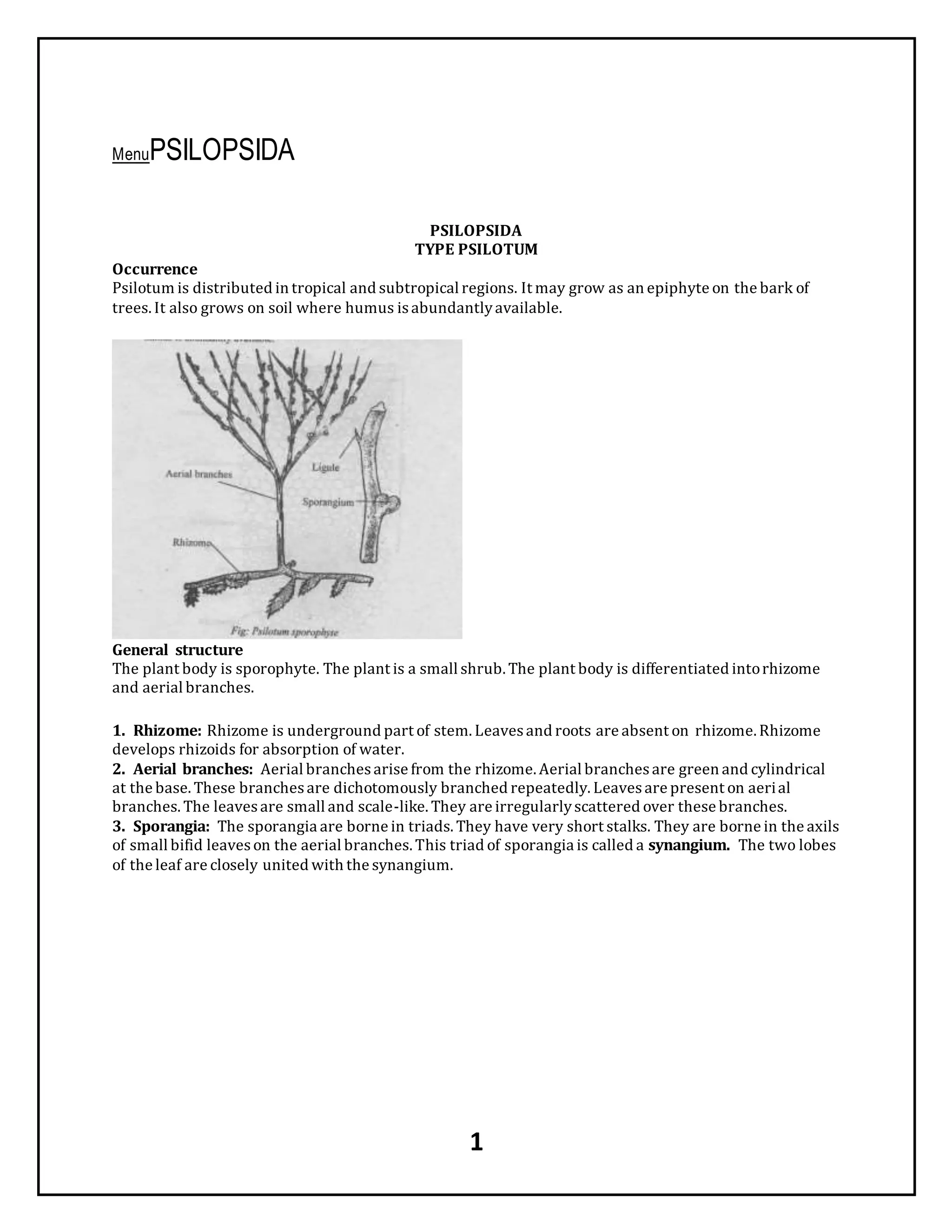 Pteridophytes | PDF