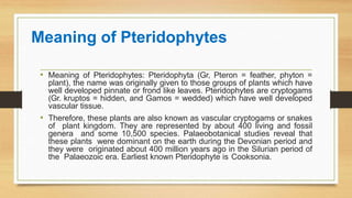 Meaning of Pteridophytes
• Meaning of Pteridophytes: Pteridophyta (Gr, Pteron = feather, phyton =
plant), the name was originally given to those groups of plants which have
well developed pinnate or frond like leaves. Pteridophytes are cryptogams
(Gr. kruptos = hidden, and Gamos = wedded) which have well developed
vascular tissue.
• Therefore, these plants are also known as vascular cryptogams or snakes
of plant kingdom. They are represented by about 400 living and fossil
genera and some 10,500 species. Palaeobotanical studies reveal that
these plants were dominant on the earth during the Devonian period and
they were originated about 400 million years ago in the Silurian period of
the Palaeozoic era. Earliest known Pteridophyte is Cooksonia.
 