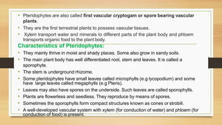 • Pteridophytes are also called first vascular cryptogam or spore bearing vascular
plants.
• They are the first terrestrial plants to possess vascular tissues.
• Xylem transport water and minerals to different parts of the plant body and phloem
transports organic food to the plant body.
Characteristics of Pteridophytes:
• They mainly thrive in moist and shady places. Some also grow in sandy soils.
• The main plant body has well differentiated root, stem and leaves. It is called a
sporophyte.
• The stem is underground rhizome.
• Some pteridophytes have small leaves called microphylls (e.g lycopodium) and some
have large leaves called megaphylls (e.g Pteris).
• Leaves may also have spores on the underside. Such leaves are called sporophylls.
• Plants are flowerless and seedless. They reproduce by means of spores.
• Sometimes the sporophylls form compact structures known as cones or strobili.
• A well-developed vascular system with xylem (for conduction of water) and phloem (for
conduction of food) is present.
 