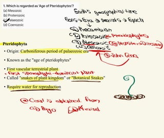Pteridophyta
• Origin: Carboniferous period of palaeozoic era
• Known as the "age of pteridophytes"
• First vascular terrestrial plant
• Called "snakes of plant kingdom" or "Botanical Snakes"
• Require water for reproduction
Earth's geographicaltime
* Eonsy Era - periods -
> Epoch
↓
Precambrian
c2PaleozoiPteridophytes
MonsterDinosa
←
&John Cena
∞
· first Sporophyte-dominantplant
← -
?
⇐
& Coal is obtained from do
C BuyO pteriod
 