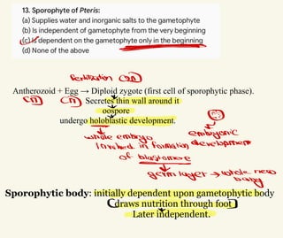 Sporophytic body: initially dependent upon gametophytic body
draws nutrition through foot
Later independent.
Antherozoid + Egg → Diploid zygote (first cell of sporophytic phase).
Secretes thin wall around it
oospore
undergo holoblastic development.
_
广
fertilization C2JN
CD CD
α
↓ ·
杀
while
embryo embryonic
involved in formation development
of blastomere
^
*
germ layer -whole new
baby
C ]
∝
 
